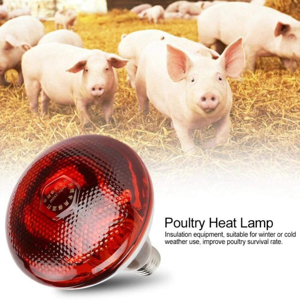 1Pcs Poultry Infrared Heat Lamp Waterproof Anti-Explosion Thickened Light Bulbs For Piglet Chicken Duck Birds E27 Heating Lamp