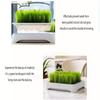 1pc Pet Cat Grass Planting Basin Wheat Seedling Soilless Culture Pot Hydroponic Growth System Gardening Accessories