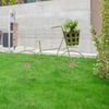 Shape Flower Stand, Garden Bicyle Crafts Iron Art, Elegant Painted Plant Rack for Living Room Office