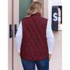 New Women's Stand Collar Quilted Padded Vest, Sleeveless Zipper Short Cotton Waistcoat, Fall Winter Outerwear