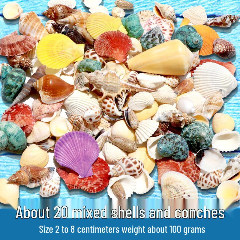 Натуральные ракушки и раковины для аквариумов и раков-отшельников