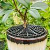 Breathable Mesh Plant Pot Soil Protector Grid Cover Cutting Barbed Cut-Outs Spiked Soil Protection Grid Reversible Use