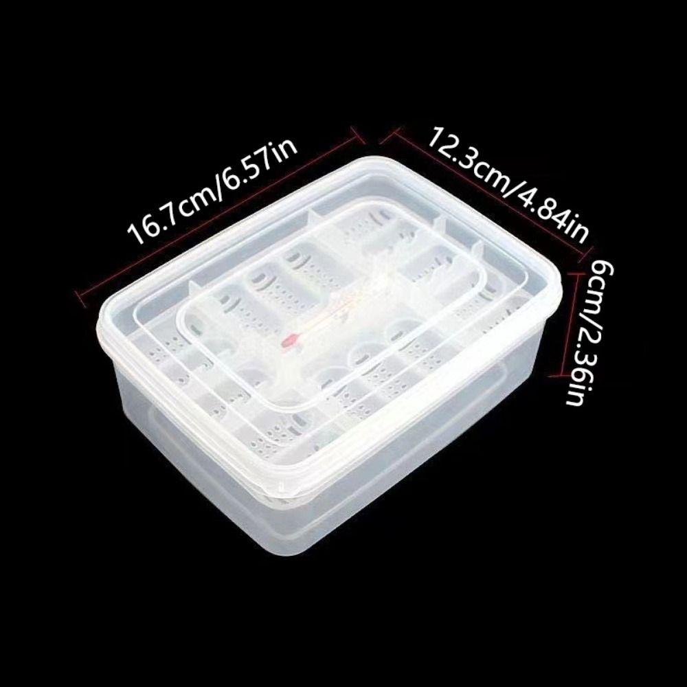 16 Grids Reptile Hatch Box Transparent Reptile Breeding Hatchery Turtles Egg Incubator Tray  Snake