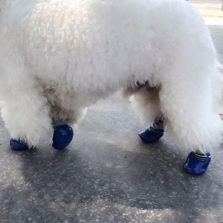 Waterproof Dog Socks For Medium Dogs Pet Dog Socks Pet Outdoor Shoes Non-slip
