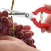 Stainless Steel Pruning Shears for Garden, Fruit Picking, Potted Plants, Grafting, and Harvesting