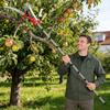 Tijă extensibilă de îmbinare de 13ft, unealtă de tăiere cu mâner, foarfecă pentru plante pomi fructiferi, flori, crengi proaspete