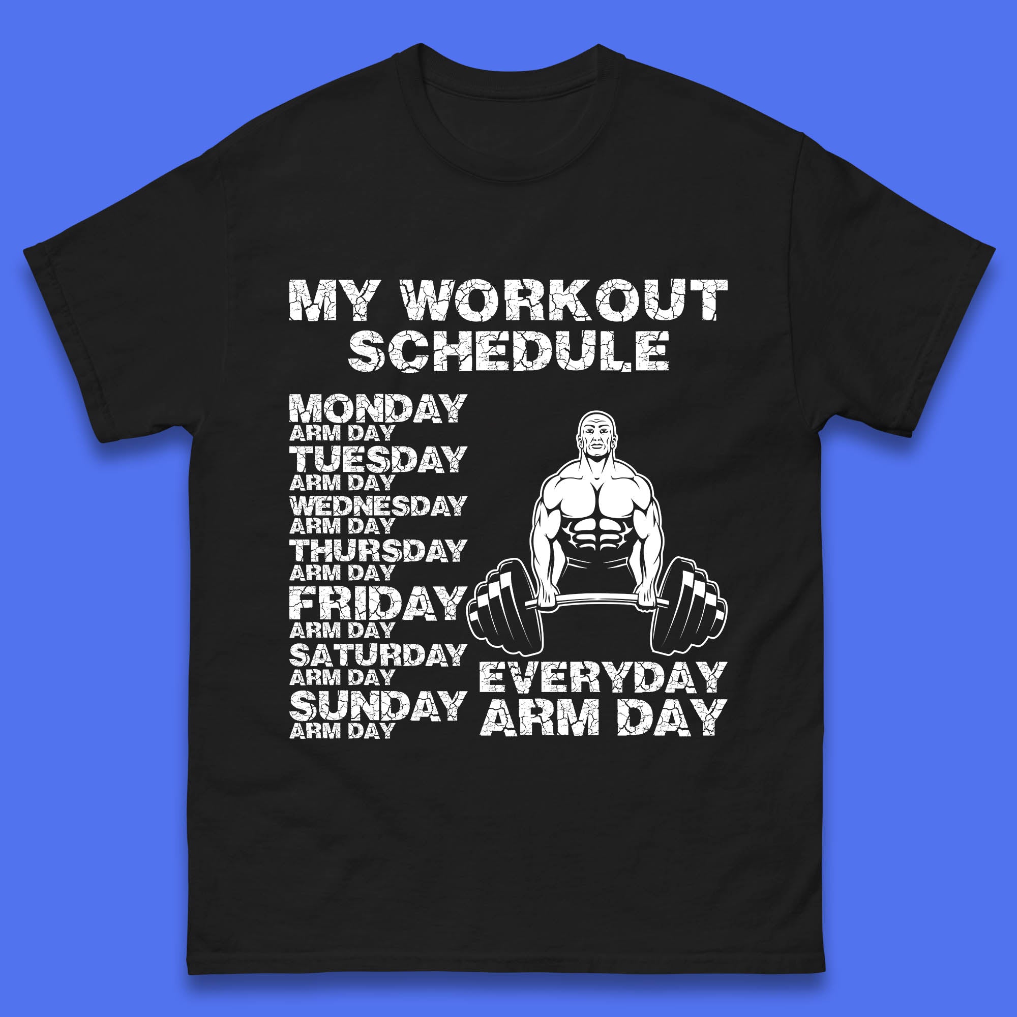 

My Workout Schedule Everyday Arm Day Daily Routine Arm Gym Workout Everyday Of Week Arm Day Fitness Mens Tee Top XL
