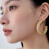 Classic Niche Hoop Earrings: Versatile, Fashion-Forward Hollow Studs with Simple Design and Textured Style