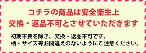 Skater Bento Chopsticks for Children Trio Set Chopsticks Spoon Fork Princess Disney TACC2 16.5cm