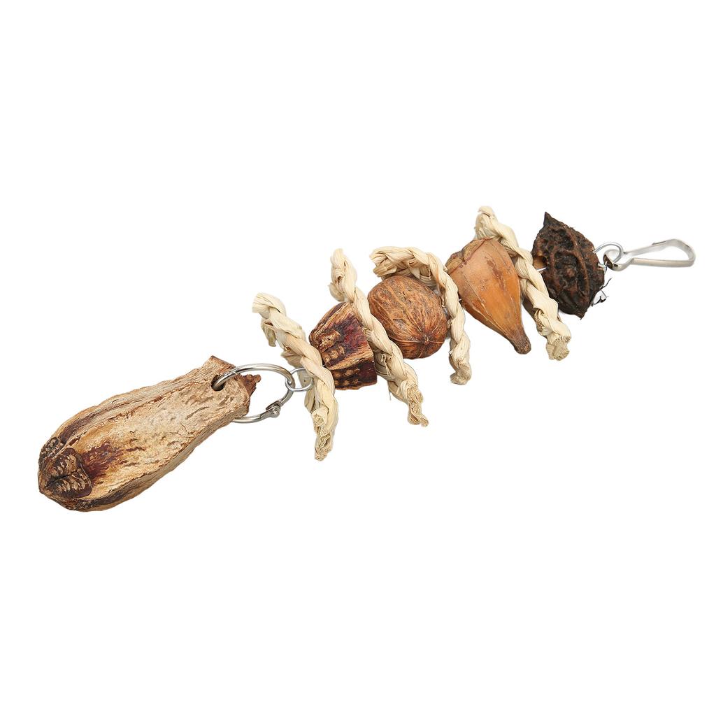 Parrot Chewing Toy Corn Leaves Nut Beak Grinding Hanging Bird Bite Toy for Budgies Parakeet