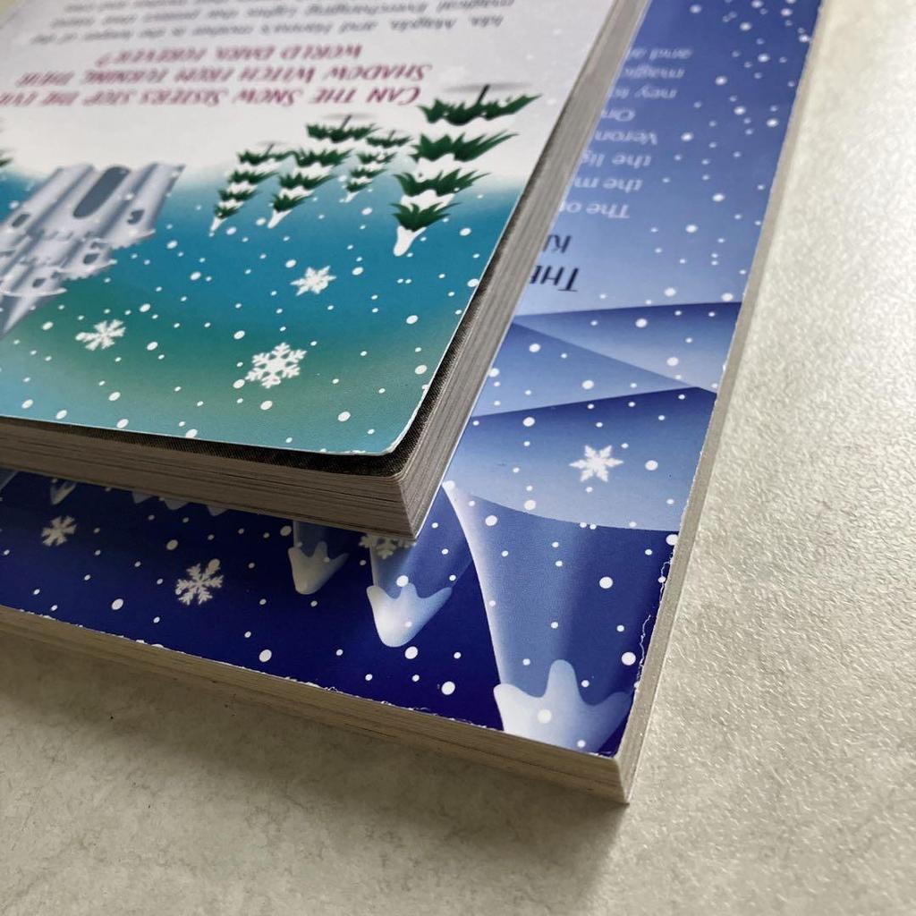 [USED] SNOW SiSTERS 2-book set chapter book