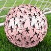 Pallone da Calcio a Tema Balletto Taglia 5, Adatto Sia per Partite Indoor che Outdoor, un Regalo Adatto a Tutti.