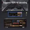 SANSUI DM-10A Home Theater Amplifier