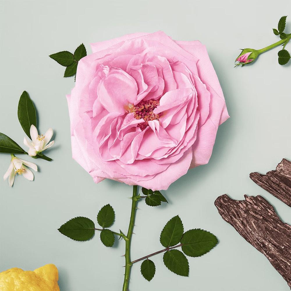 Chloé Natural Eau De Parfum 50 Ml