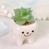 Cute Tooth Flowerpots - Ceramic Garden Pots Planters, Succulent Cactus Vases, Home Garden Decorative Tabletop Plant Pot