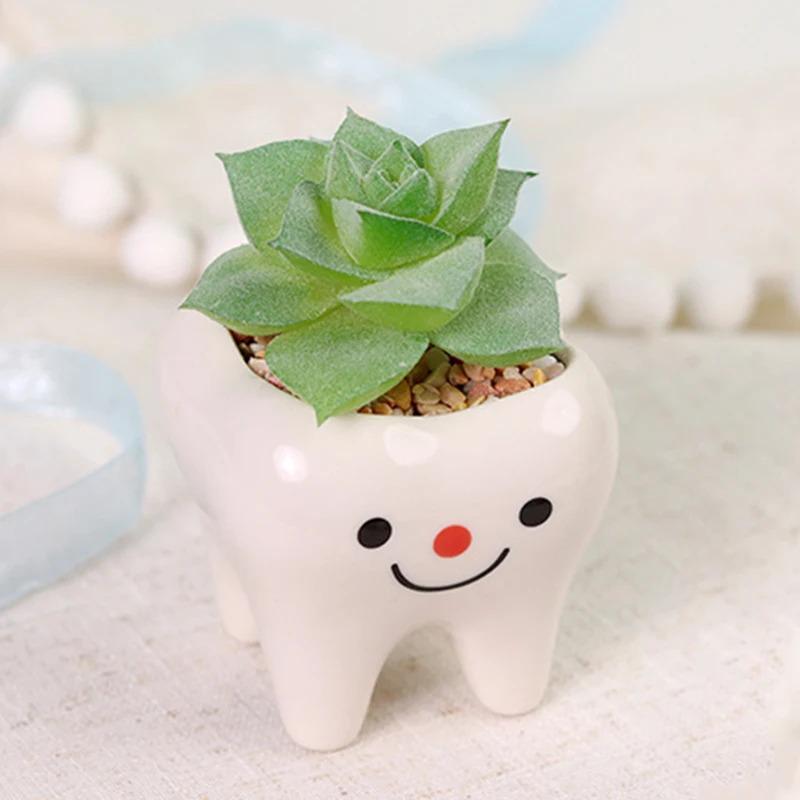 Cute Tooth Flowerpots - Ceramic Garden Pots Planters, Succulent Cactus Vases, Home Garden Decorative Tabletop Plant Pot