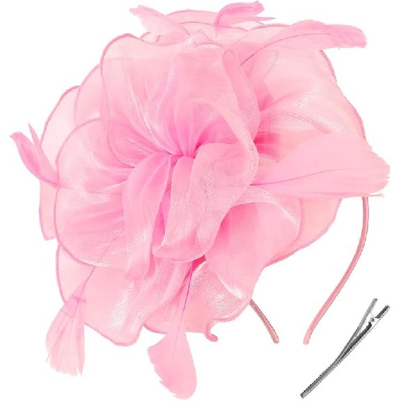 DRESHOW Fascinators Hat Tea Party Headwear Ribbons Feathers on a Headband and a Clip for Women