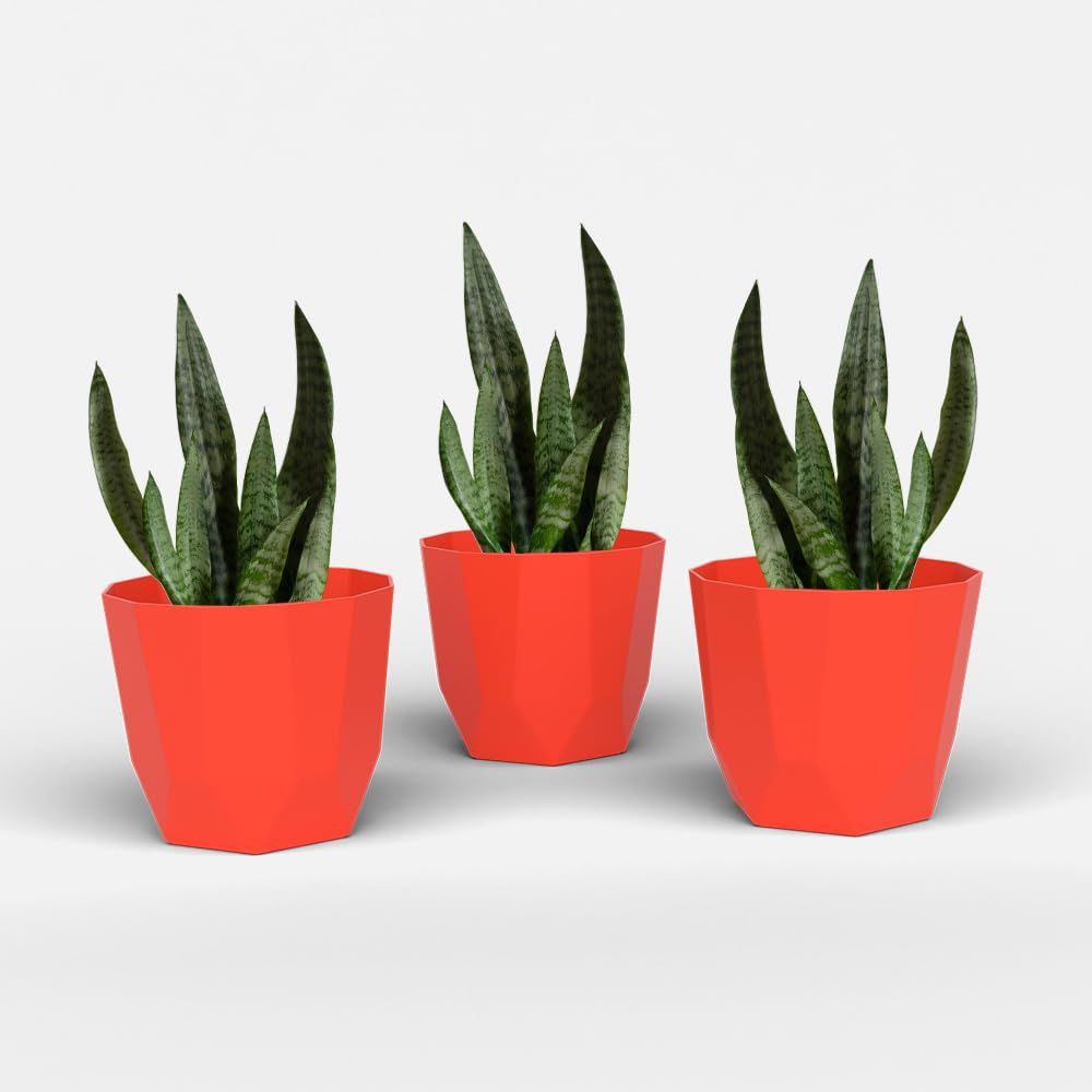Hexa 8 Inch Pack of 3 Piece Plastic Plant Pot for Home Decor Indoor Plant Pots for Living Room Plastic Flower Pot for Garden (Red)