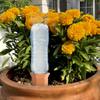 Plant Self Watering Spikes 4pcs Plants Self Watering Spikes In Terracotta Wine Bottle Indoor Outdoor Garden Waterer For Daisy