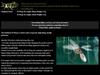 Imakatsu IS Wasp 55 Suspend Lure 116 (2351)