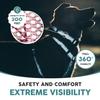 Embark Pets Illuminating Reflective Dog Size Small Collar, Pink,