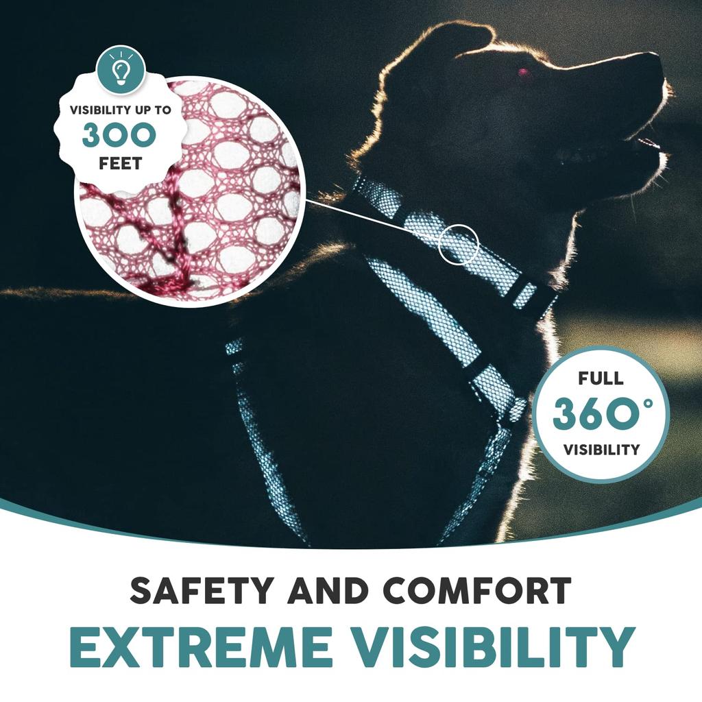 Embark Pets Illuminating Reflective Dog Size Small Collar, Pink,