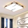 Modern Atmospheric Ceiling Light for Living Room, Balcony & Master Bedroom