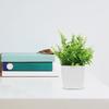 Realistic Fake Potted Plant Indoor Decoration Small Artificial Bonsai Plant Desk Office Faux Greenery Plastic Plants for Home