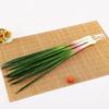 Plant Simulation Vegetable PU Imitation Scallions Model Artificial Green Onion  Photography