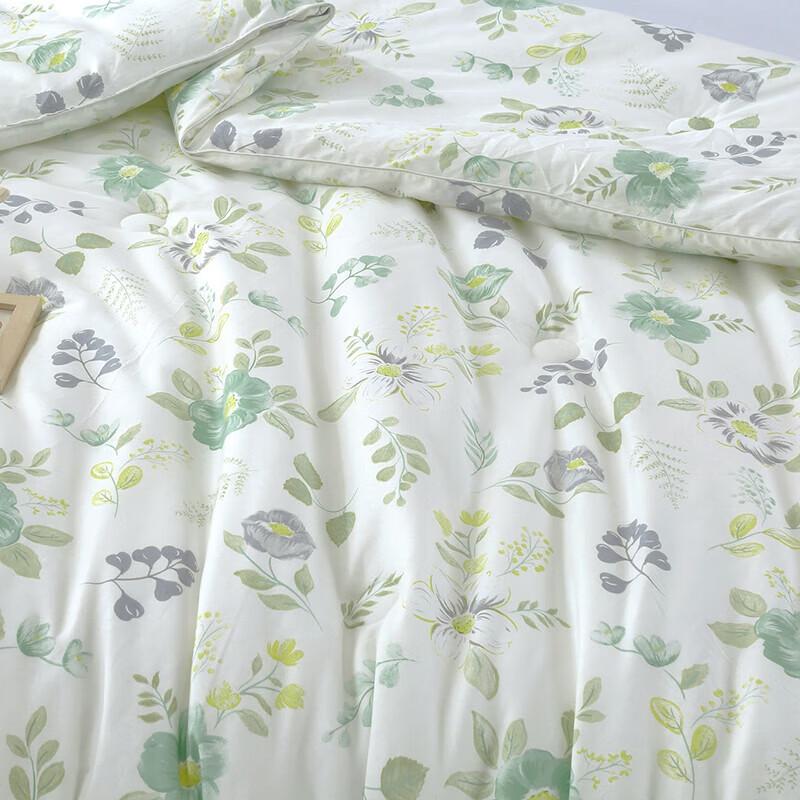 Ziyun Xiyan All-Season Moisturizing Fiber Quilt