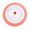 Auto Waxing Polishing Disk Car Polishing Disc Car Polisher Car Care Products