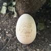 Engravable Easter Eggs Wood Shaker Musical Instrument Wood Eggs Instruments for Kids Sensory Development and Play