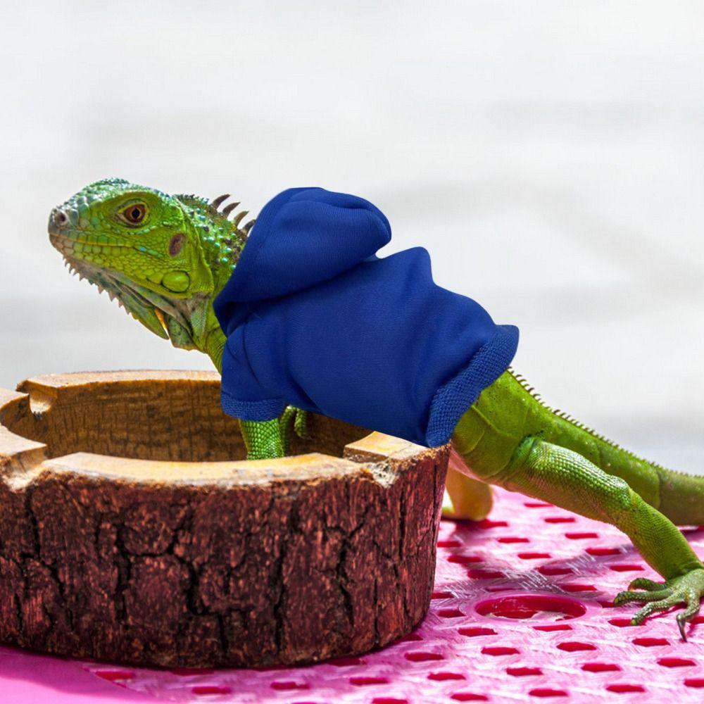 Einfarbiger Bartagamen-Hoodie Warmer Haustiermantel Jacke Echsenkleidung Haustiershow