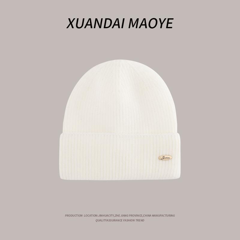 Autumn and Winter Casual Hats for Women Plush New Korean Knitted Hats Versatile Warm Ear Protection and Thickened Fashion Student