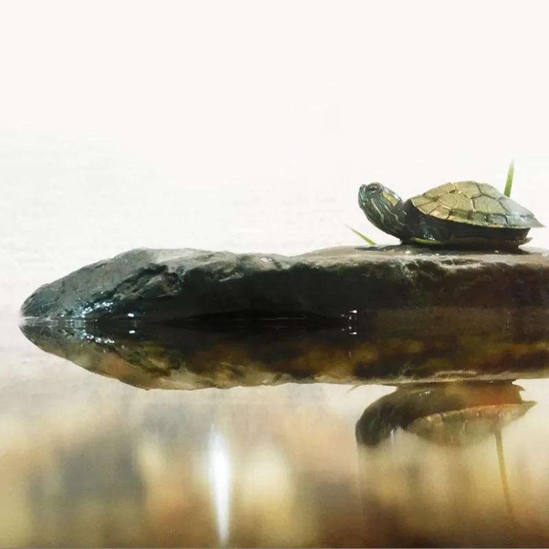 Creative Reptile Terrarium Turtle Accessories Basking Platform Rest Cave Resin Climb Toy Aquarium Decoration Decor Crawling Pets