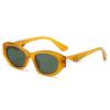European American Stylish Ladies Sun Glasses Cat Eye Shape UV Ray Blocking Sun Glasses for For Men High Quality Sun Glasses For Women