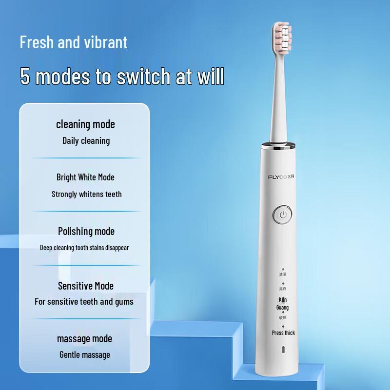 Flyco Sonic Electric Toothbrush