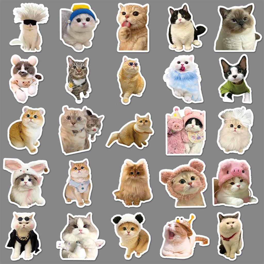 100 Cute Kitten Cartoon Stickers: Decorate Cups, Phone Cases, Guitars & More