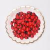 100PCS Ladybug Decor Tiny Ladybugs Decor Wood Ladybugs Shaped Embellishments Craft for DIY Craft Micro Animals Gifts
