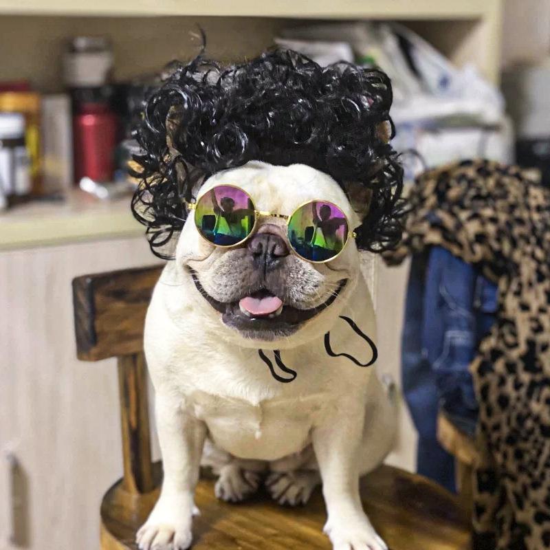 Dogs Cats Headdress Funny Pet Wigs Bangs Exploding Head Braids Straight Hair Nylon Fibre Material Halloween Pet Accessories