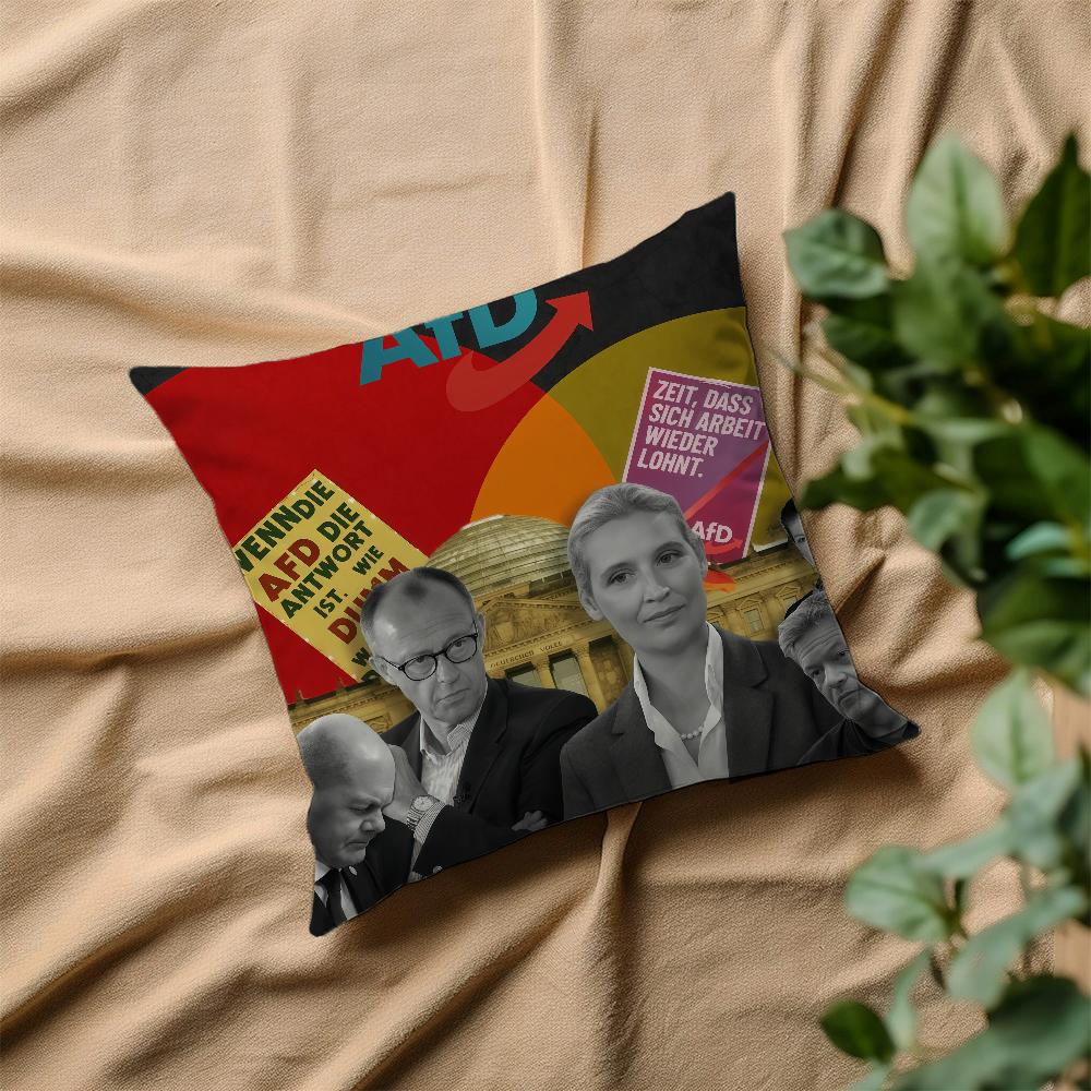 Alternative AFD Germany cushion cover Home Bedding Sofa living Room pillowcase Simple Soft Skin Cushion Cover Party Gift
