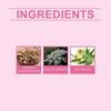 South Moon Women's Body Care Cream Gentle Cleansing And Daily Massage Care Cream For Women