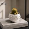 Space Inspired Gift 3D Printed Lunar Flowerpot for Succulents, Creative Moon Surface Planter Decorative Photography Prop Desktop Decor, Minimalist
