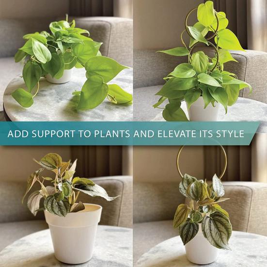 4Pcs Plant Climbing Rack Sturdy Good Ventilating Metal Indoor Outdoor Potted Plants Flower Support Holder Daily