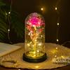 Eternal Flower Glass Cover Luminous Gold Foil Rose Christmas Valentine's Day Gift Creative Night Light Ornament