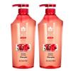 Fenghua Ginger Hair Strengthening Shampoo