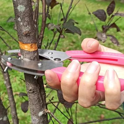 Professional Stainless Steel Garden Orchard Tools Bark Stripping Pruner with Ring Shaped Fruit Tree Peeler
