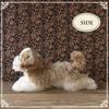 Ninian and Kino Plush Realistic Lying Approximately 40cm Long Dog, Down, (Shih Tzu)