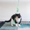 Striped Print Ring Bell Plush Ball Bendable Hanging Cat Toy with Suction Cup Stress Relief Funny Cat Swing Toy for Table