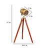 Pack of 1 Spotlight Tripod Floor Lamp, Brass,